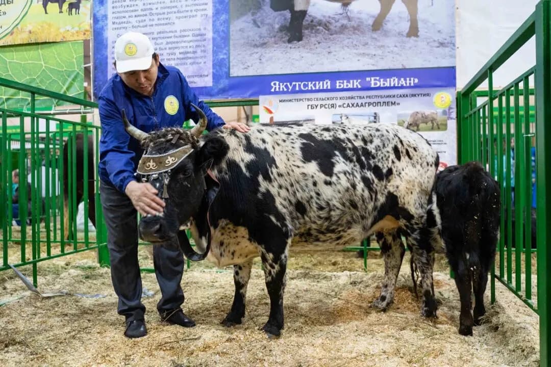 «Народный фермер» попросил власти Якутии ускорить доведение господдержки до аграриев