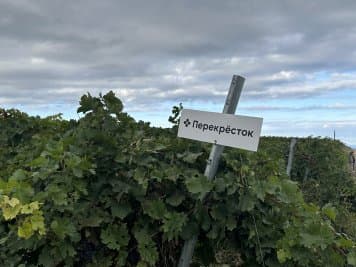 «Перекрёсток» и «Дербент Вино» увеличили производство вина