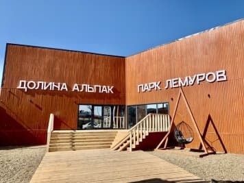 От пингвинов до лам: в Оренбургском «Мармеладе» за месяц появились пять новых площадок с животными