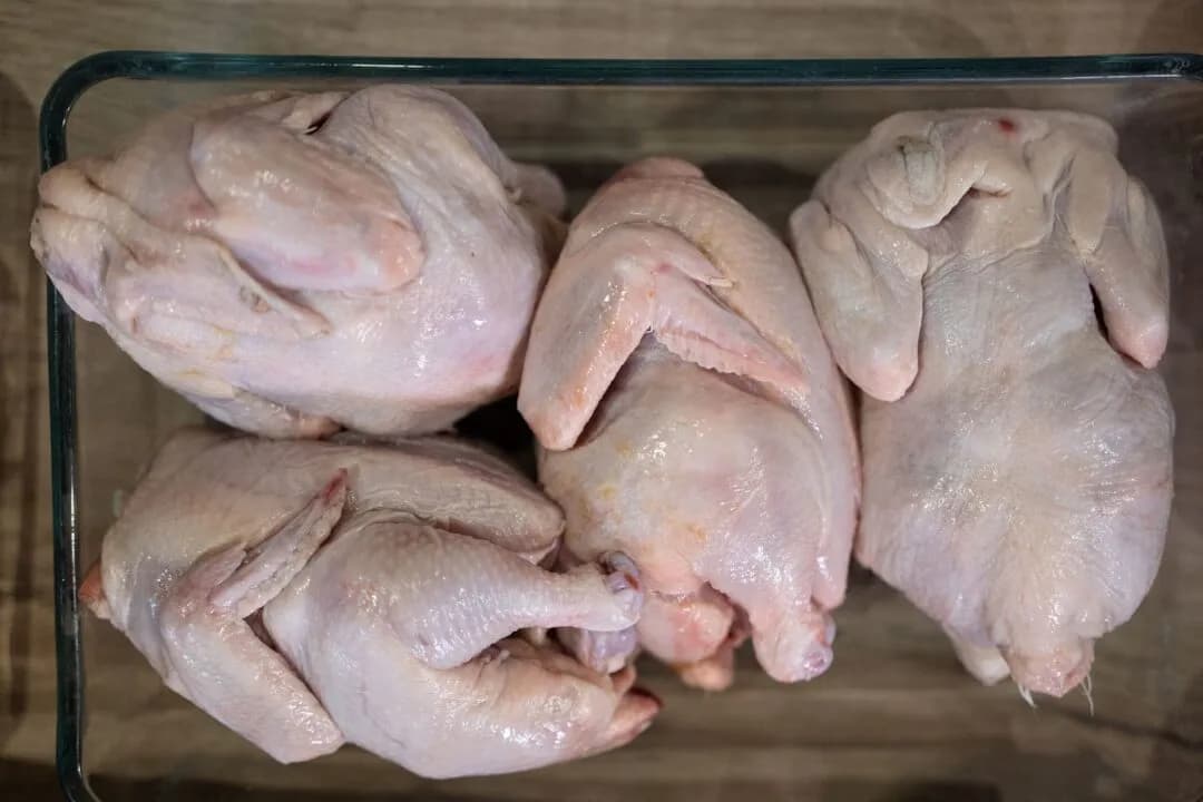 Мировое производство мяса птицы вырастет на 2% в 2027 году — USDA