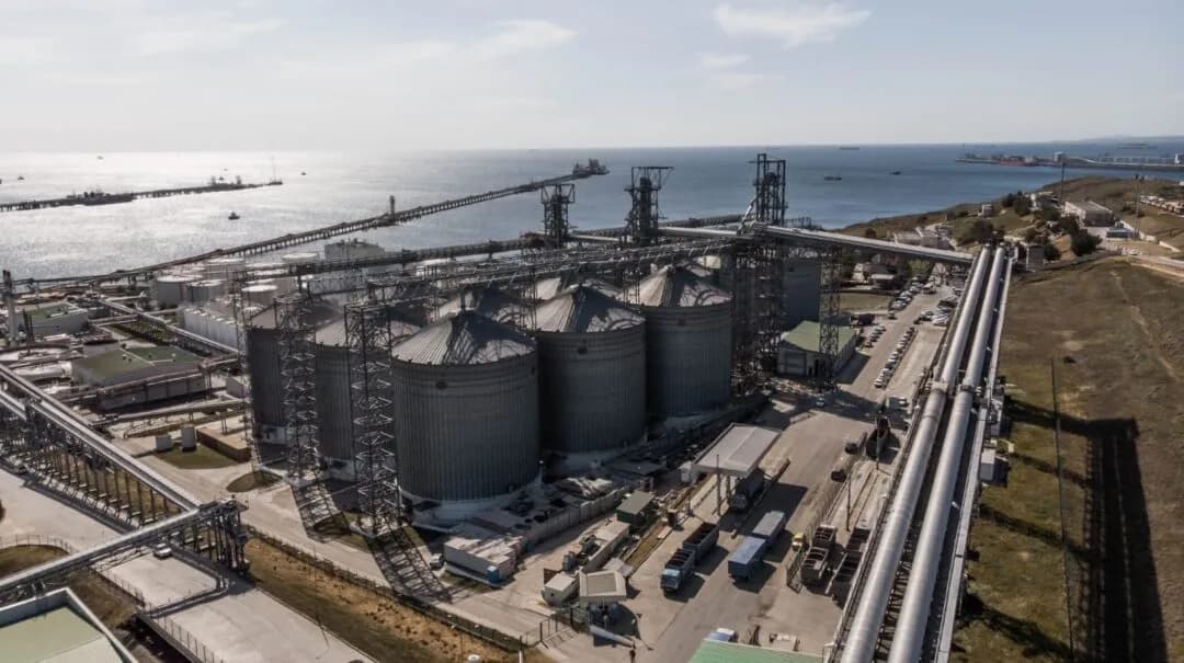 «СовЭкон» ожидает экспорт пшеницы из России в октябре до 2,8 млн тонн