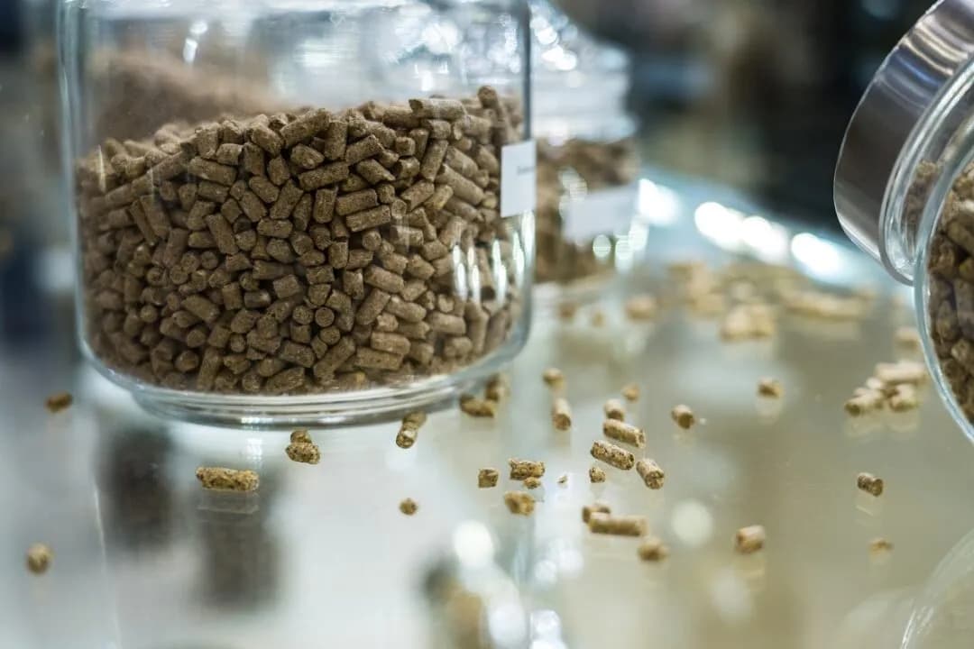 Форум России и Китая по торговле мясом и кормами пройдет 27 октября