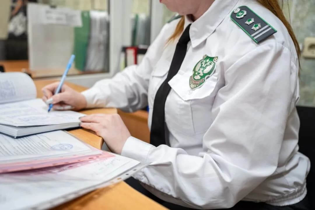Институты Россельхознадзора масштабируют обучение зарубежных специалистов