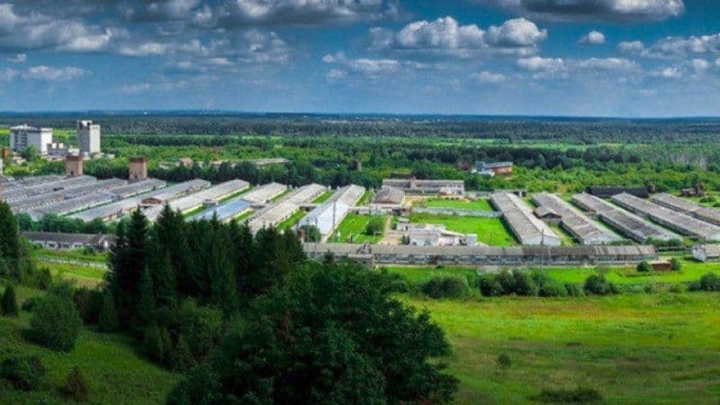 «Агро-Альянс» направит на модернизацию Пермского свинокомплекса ₽6,1 млрд