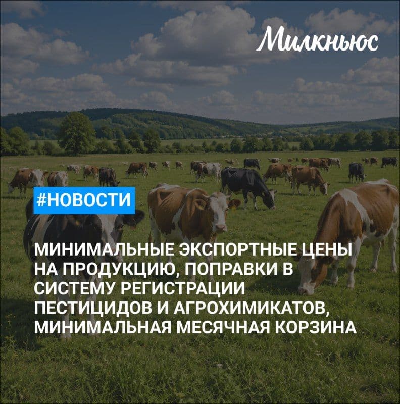 Беларусь понизила минимальные экспортные цены на ряд молочных продуктов для России