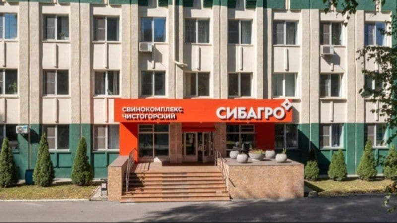 Чистогорский свинокомплекс «Сибагро» вышел на рынки трех стран ЕАЭС