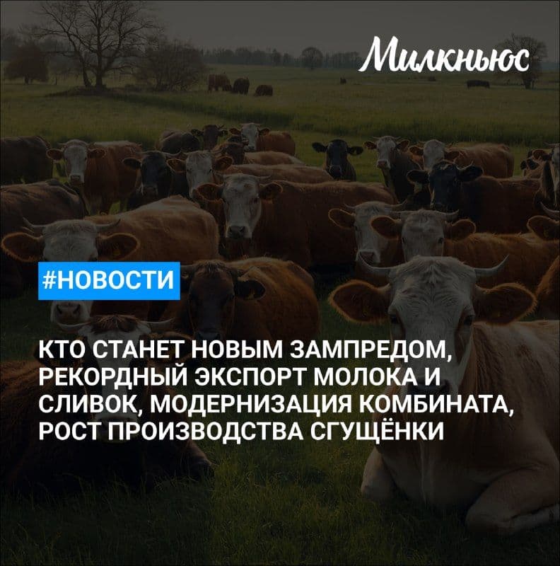 Дмитрий Григоренко, курировавший цифровую трансформацию в АПК, покинет пост зампреда — главы аппарата правительства