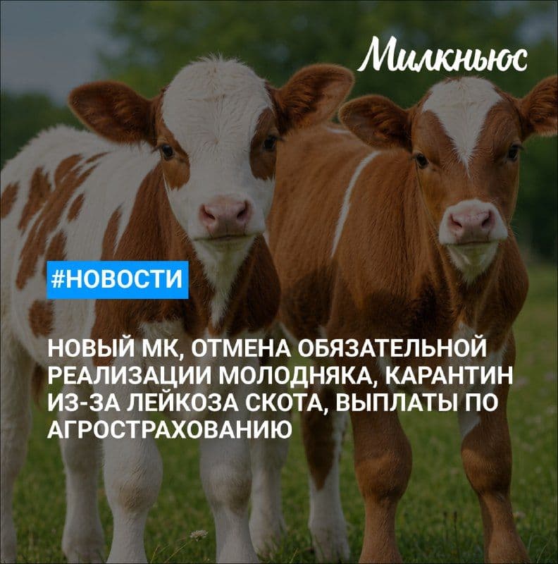 «Эконива» может запустить в курской СЭЗ молочный комплекс за 5 млрд руб.