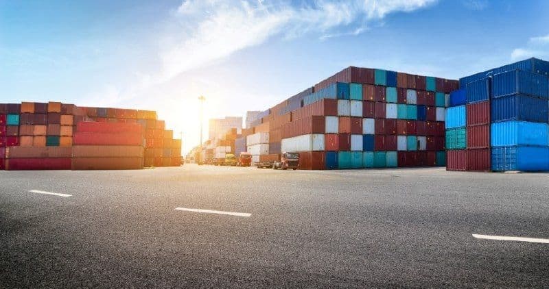 Экспорт продукции животноводства и кормов из Петербурга и Ленинградской области вырос на 58%
