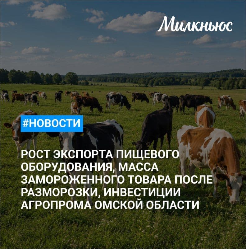 Экспорт российского пищевого оборудования вырос на 18% в I полугодии