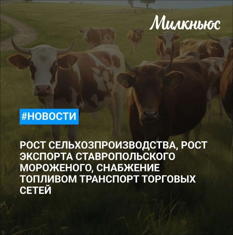 Экспорт ставропольского мороженого вырос в 10 раз в I полугодии
