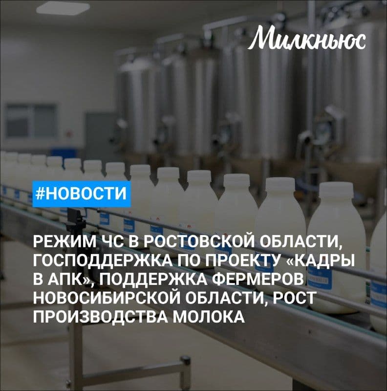 ГК «ЭкоНива» нарастила производство молока в I полугодии на 4%