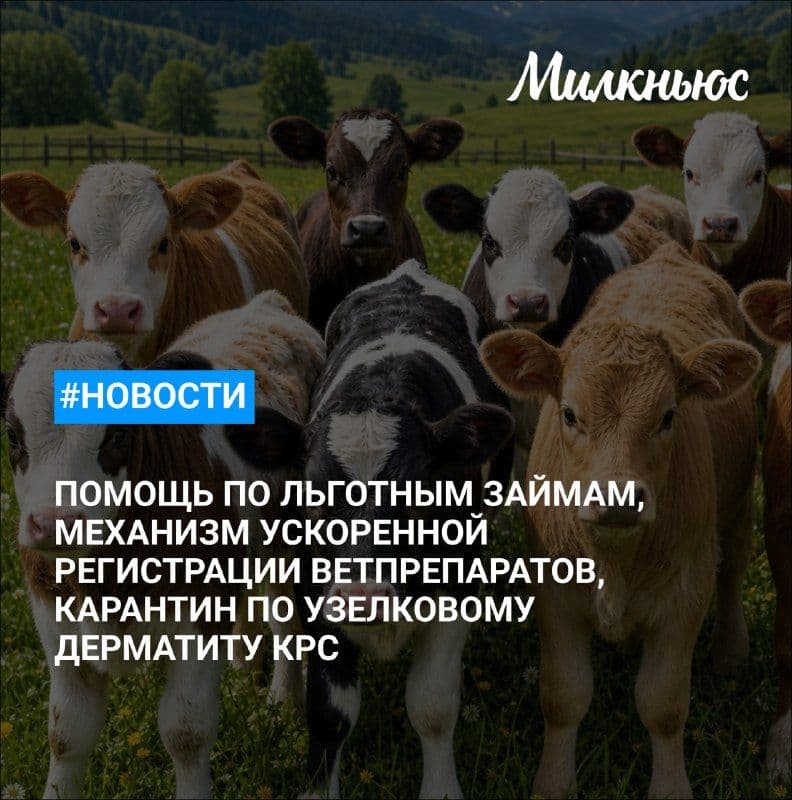 Кабмин направит АПК 720 млн руб. на помощь по льготным займам