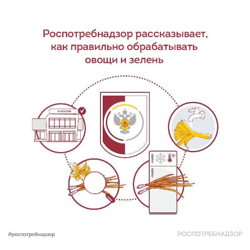 Качественная обработка овощей и зелени – это первый и самый надёжный барьер против острых кишечных инфекций и паразитарных…