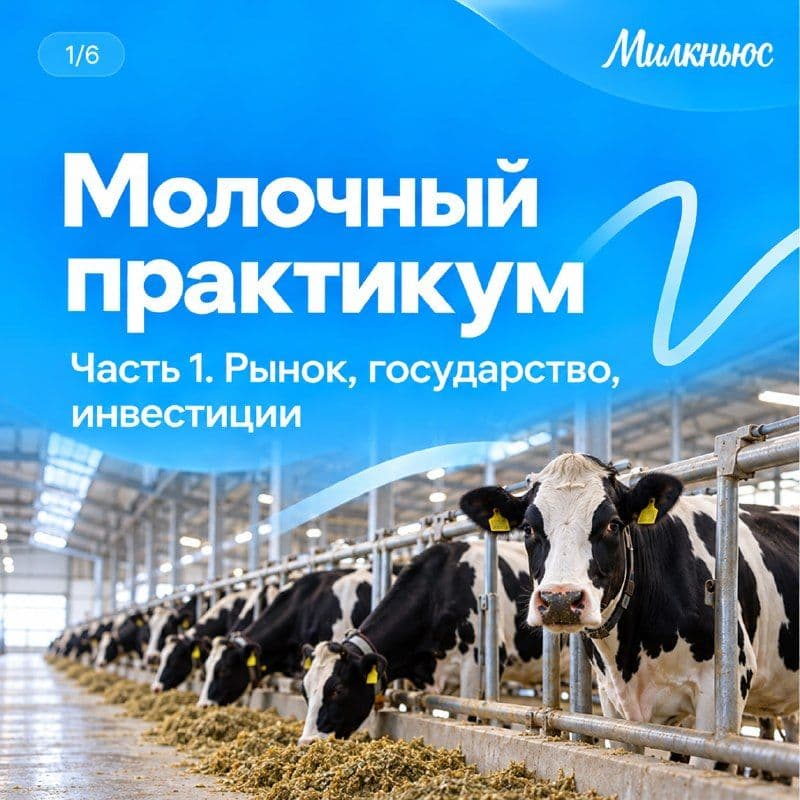 Какие изменения ждут молочную отрасль и к чему готовиться бизнесу?