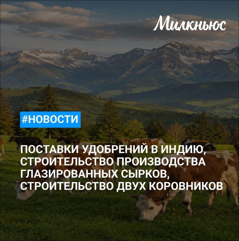 «Логика молока» начала строительство производства глазированных сырков на молкомбинате «Ялуторовский» за 4 млрд руб.