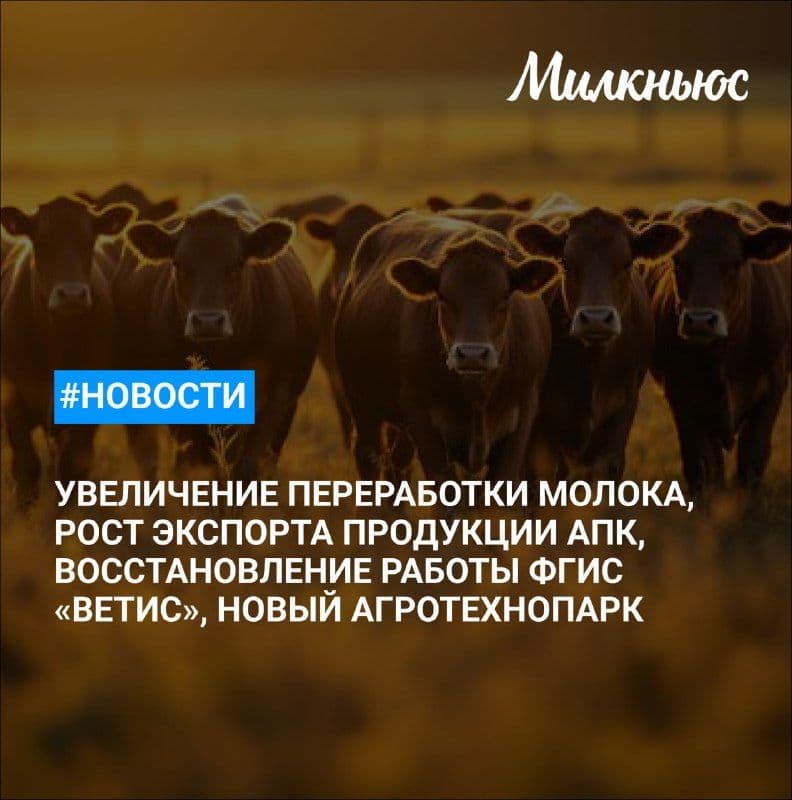 «Логика молока» в январе-сентябре нарастила выручку на 5,3%