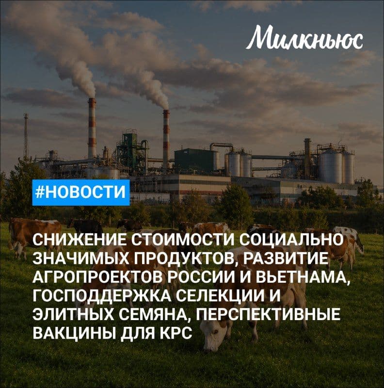 ЛПХ в Новосибирской области в рамках восстановления поголовья получили более 600 голов