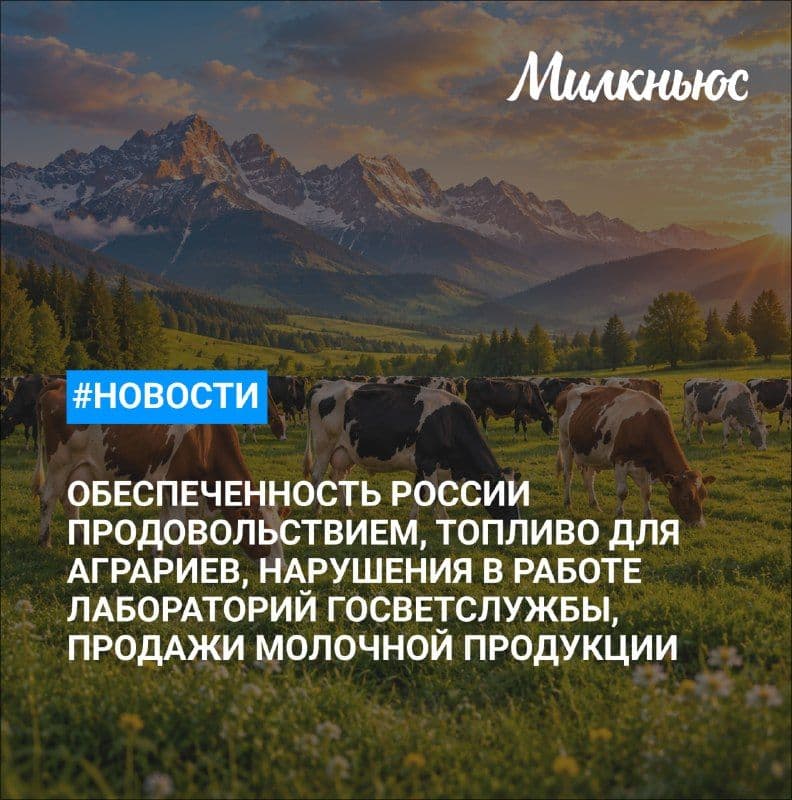 Лут: Россия полностью обеспечивает себя продовольствием