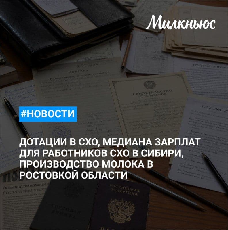 Маргарита Хисаметдинова возглавила департамент цифровизации Минсельхоза России