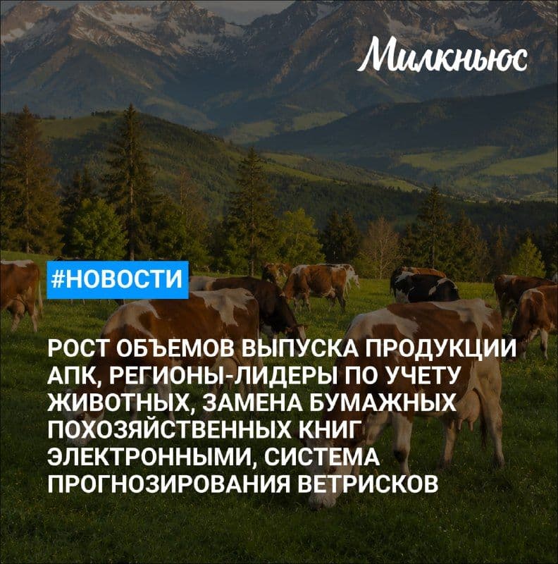 МЭР спрогнозировал рост объемов выпуска продукции АПК на 6,3% к 2029 году