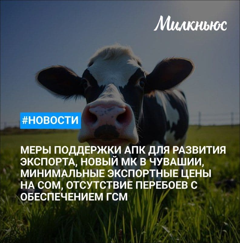 Минсельхоз готовит новые меры поддержки АПК для развития экспорта