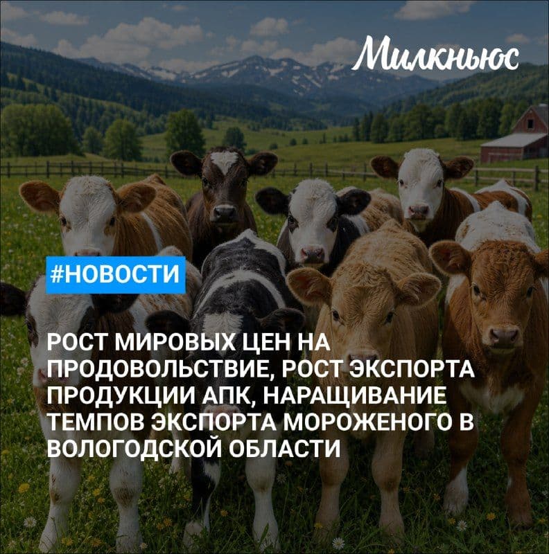 Мировые цены на продовольствие в августе выросли на 1,9%