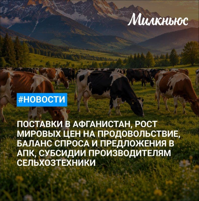 Мировые цены на продовольствие в сентябре выросли на 1,5%