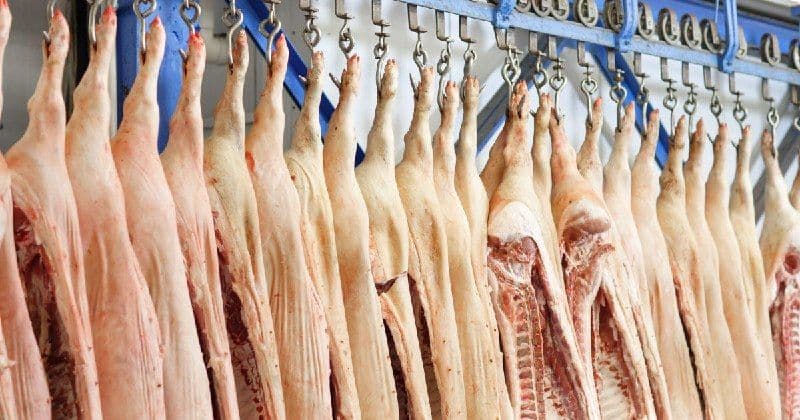 НСМ: цена свинины приближается к выходу на плато, курица дорожает