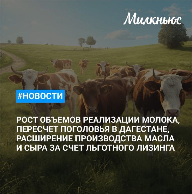 Объём реализации молока в сельхозорганизациях вырос на 1,6%