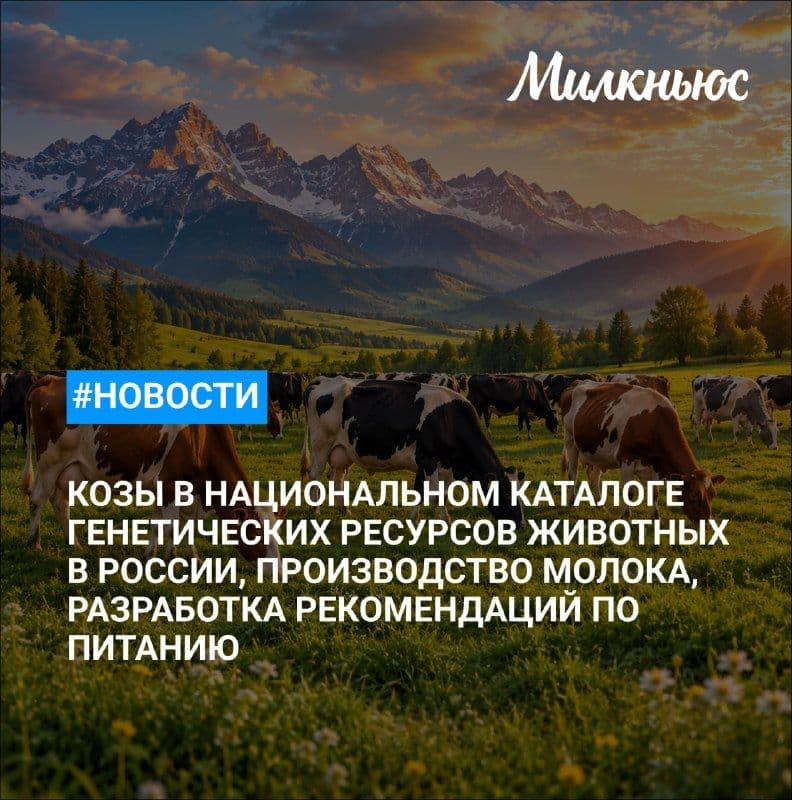 ООО «Молочная компания Бабушкина крынка (Хэнань)» открыло производство в Китае