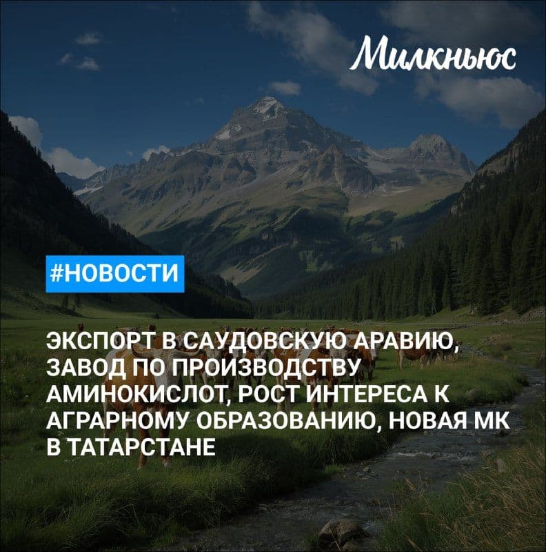 ООО «Семикаракорский сыродельный комбинат» получил право экспорта в Саудовскую Аравию