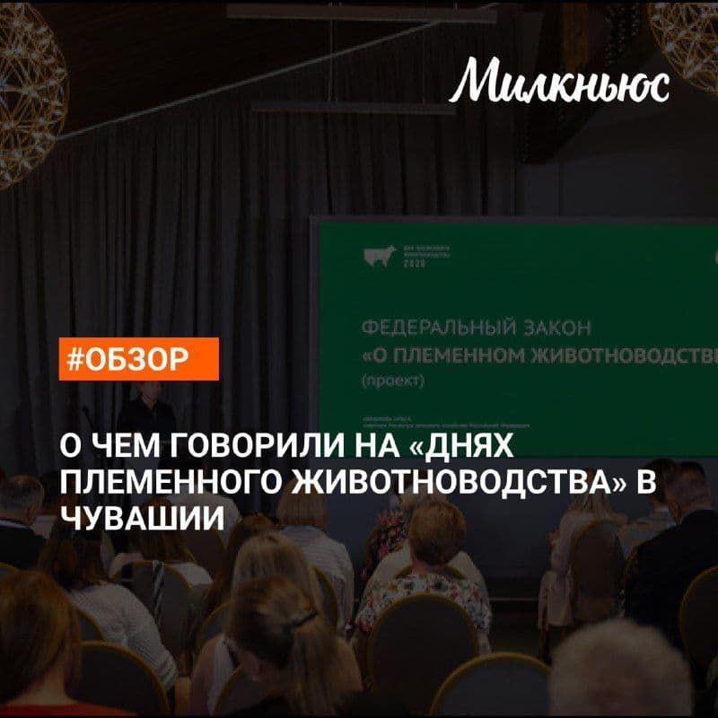 Племенное животноводство: как меняется отрасль и почему закон переписывают с нуля