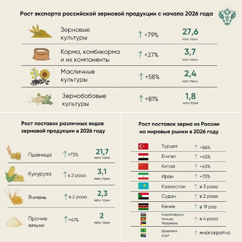 По данным ФГИС «Аргус-Фито», по состоянию на 10 июля 2026 года экспорт зерна и продуктов его переработки составил свыше 36,1 млн…