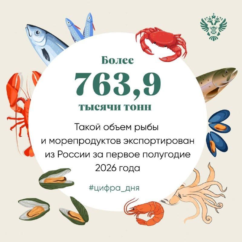 По данным информационных систем Россельхознадзора, значительная доля сырой рыбы отправлена в Китай — порядка 486,3 тысячи тонн и…