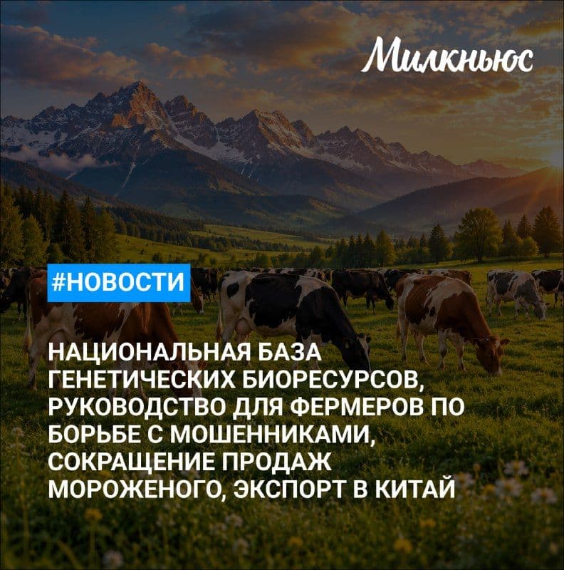 «Ъ»: продажи мороженого в больших брикетах сократились в 14 раз