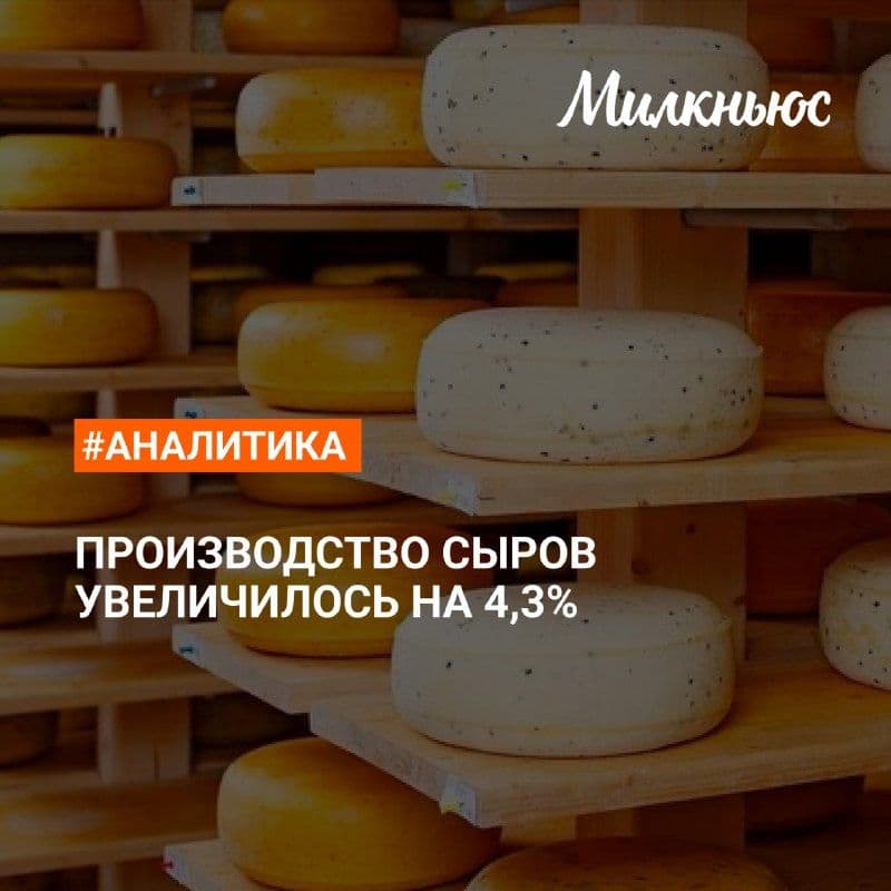 Производство сыров и сырных продуктов в январе-мае 2026 года по сравнению с январем-маем 2025 года снизилось на 0,9% - до 418,4…