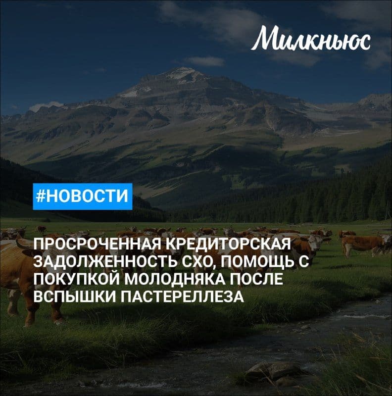 Просроченная кредиторская задолженность сельского хозяйства РФ к 1 июля выросла на 0,8%