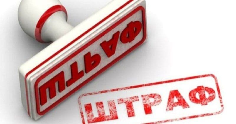 Птицефабрика «Менделеевская» оштрафована по результатам проверки