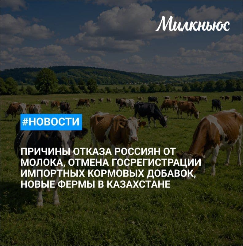 Роскачество назвало причины отказа россиян от молока