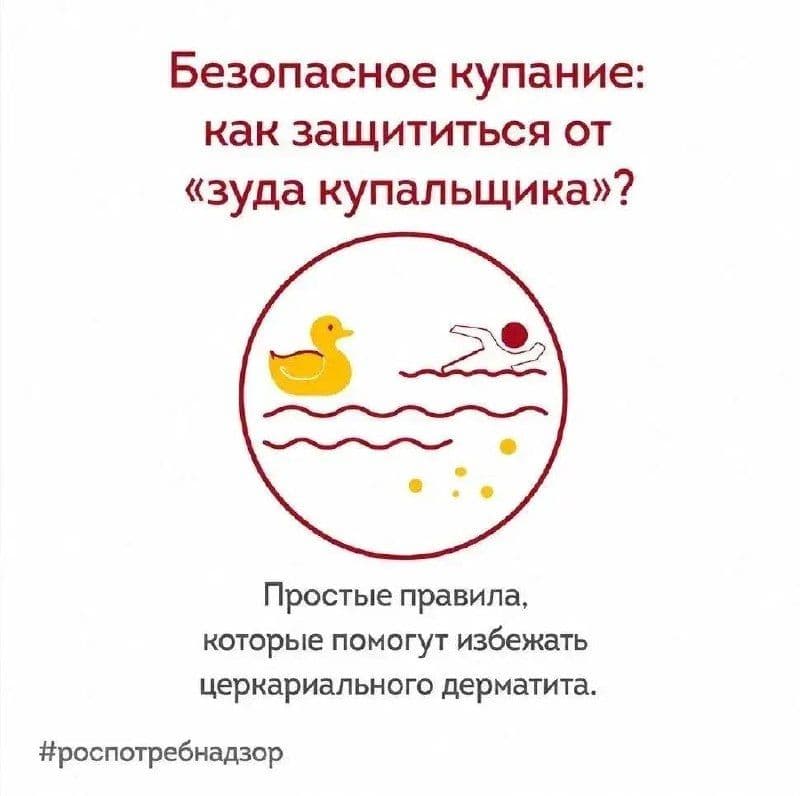 Роспотребнадзор предупреждает о рисках заражения церкариальным дерматитом (зуд купальщика), вызванным личинками шистосомы.