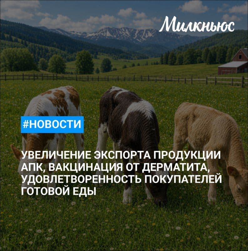 Россия в I полугодии увеличила экспорт продукции АПК в Казахстан в 1,4 раза