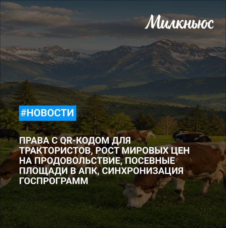 Рост мировых цен на продовольствие в июле составил 0,6%