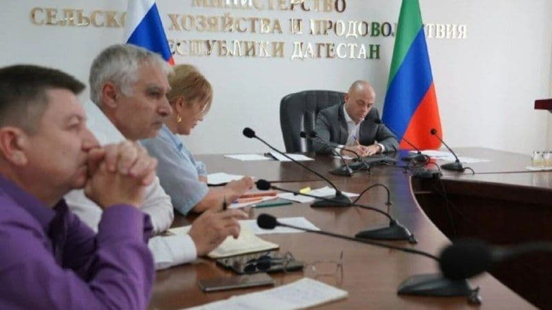 С начала года Дагестан реализовал более 1,2 тысячи тонн баранины