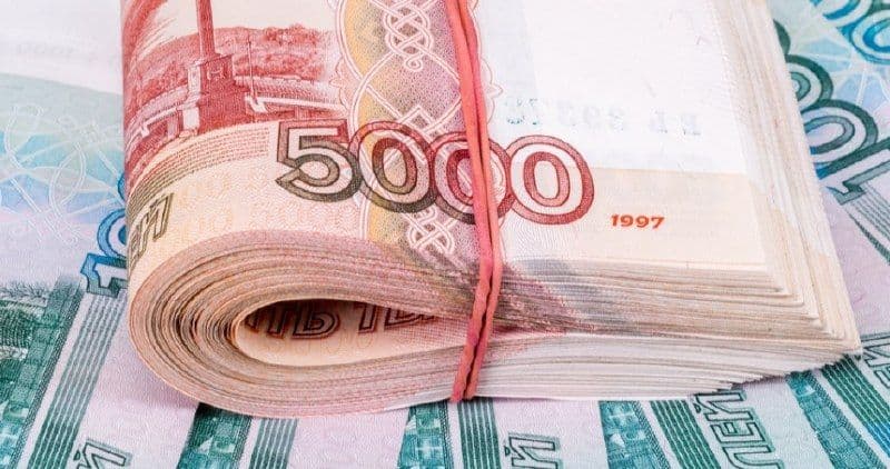 Ставропольский край: губернатор требует ускорить выплату компенсаций за изъятых свиней