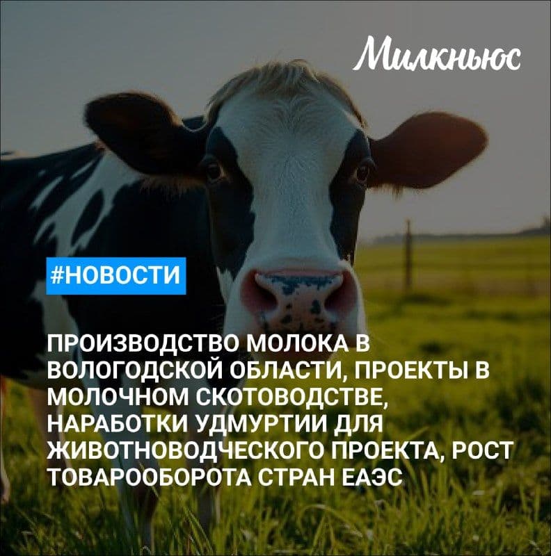 В 2026 году в Вологодской области планируют произвести свыше 700 тыс. т молока