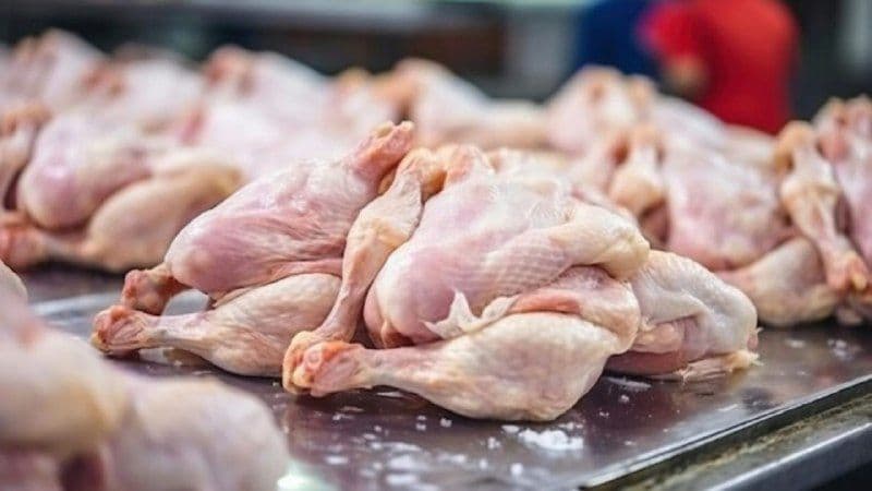 В августе цены на мясо птицы выросли более чем на 15% год к году