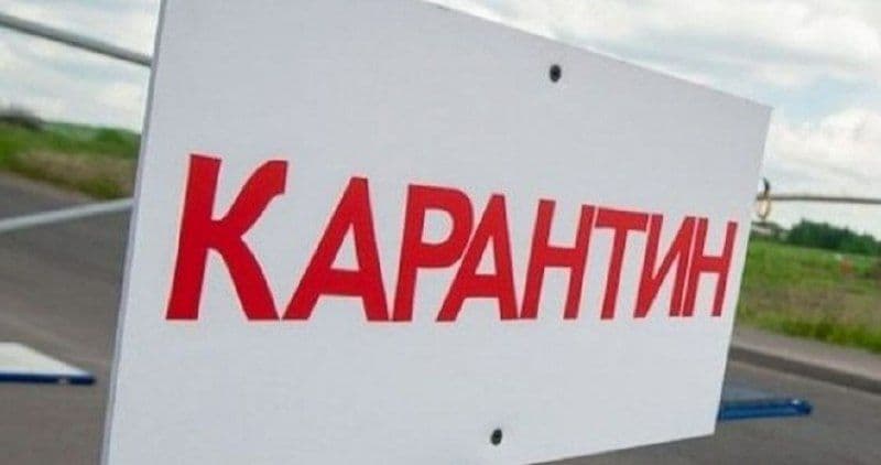 В четырех округах Ставропольского края установлен карантин по АЧС и бруцеллезу