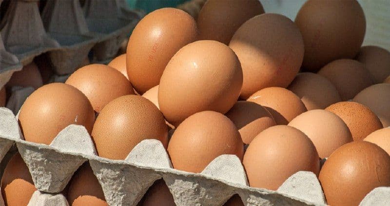 В июле из Саратовской области в ОАЭ отправлено около 1 млн куриных яиц