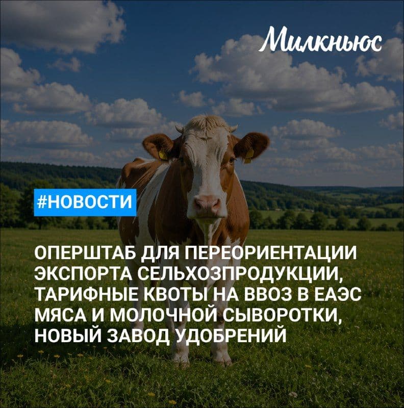 В Минсельхозе создали оперштаб для переориентации экспорта сельхозпродукции